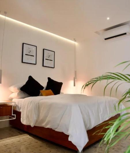 Casa Elda Hotel Merida Ngoại thất bức ảnh